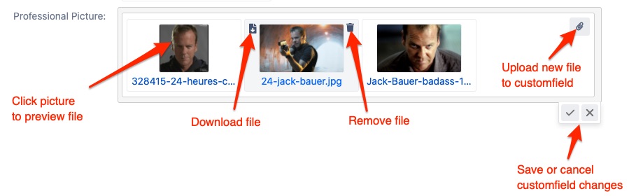 Apwide File Field Custom Field Inline Edition.png